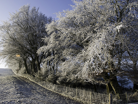 Fullsize photo